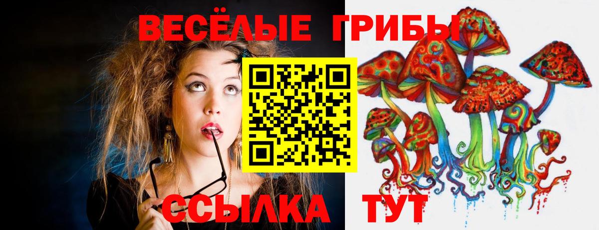 Павловский Посад  Псилоцибиновые грибы мицелий  Псилоцибиновые грибы прущие грибы  Вход с VPN 