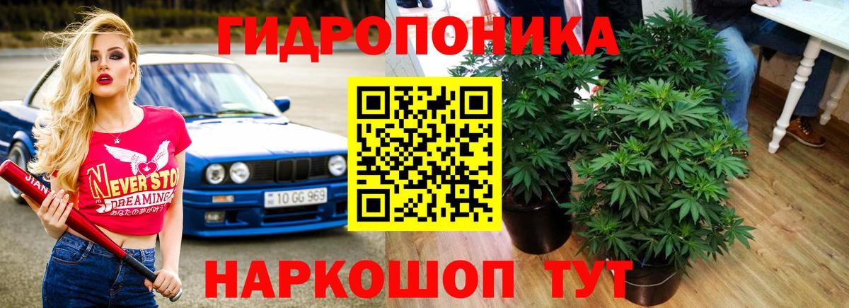 Бошки Шишки индика Павловский Посад
